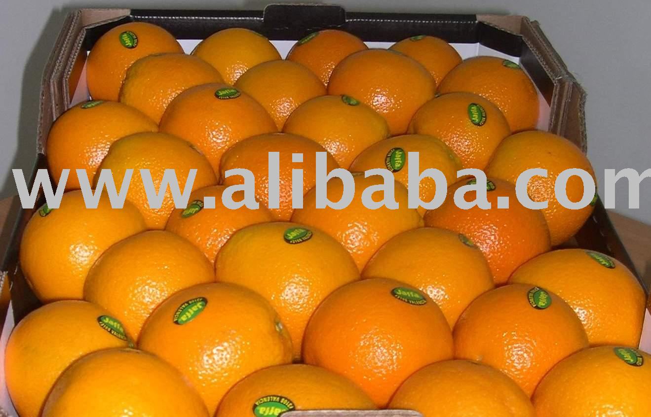 Sweetie Grapefruit
