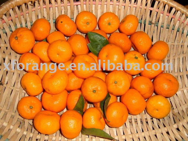 fresh honey mandarin orange