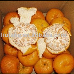 Chinese pokan orange