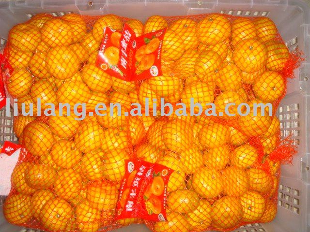 Chinese mandarin orange