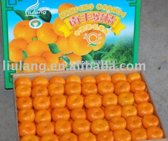 fresh chinese orange