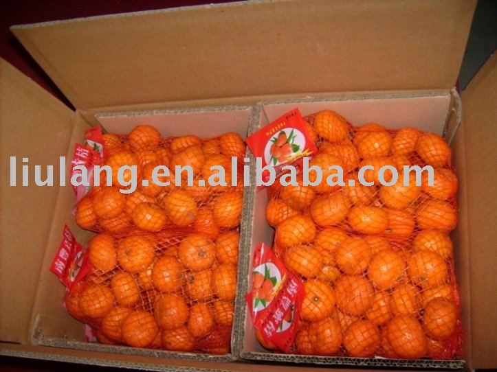 fresh baby honey mandarin