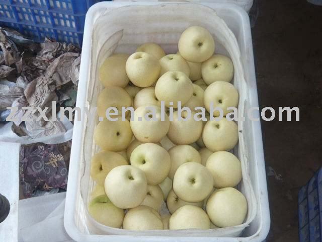 Fresh  Emerald Pear