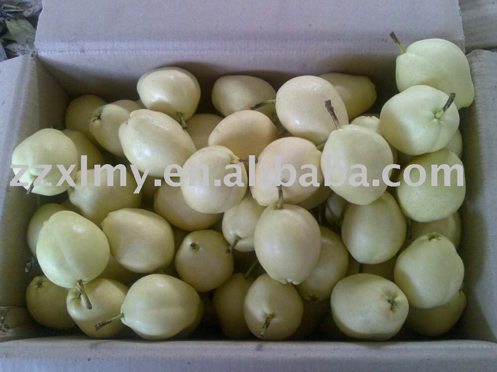 Fresh  Su Pear