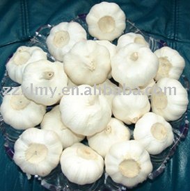 Fresh Pure White Garlic