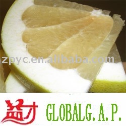 Chinese Pomelo