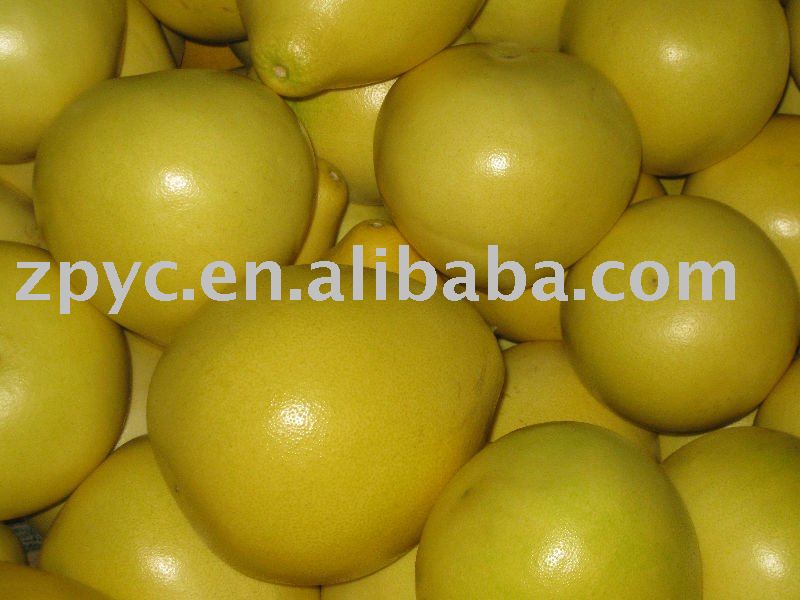 Chinese  fresh  pinghe  pomelo 