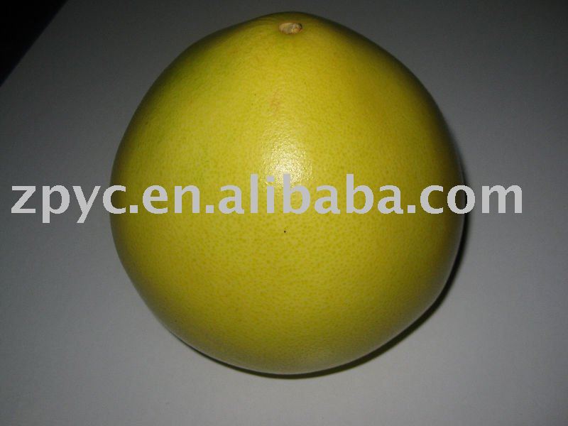Sweet  Pomelo(Fresh  pomelo , Honey pomelo,U-001)