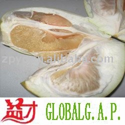  Fruit   Pomelo 