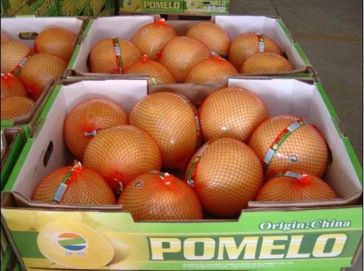 Honey Pomelo