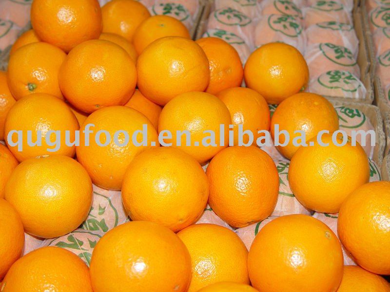 fresh navel orange sweet