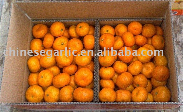 fresh mandarin