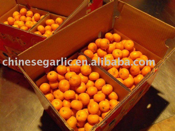 Chinese mandarin