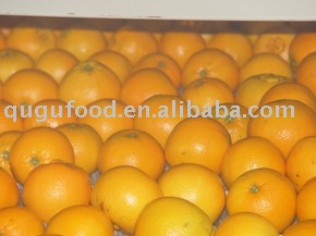  fresh   fruit / navel   orange 