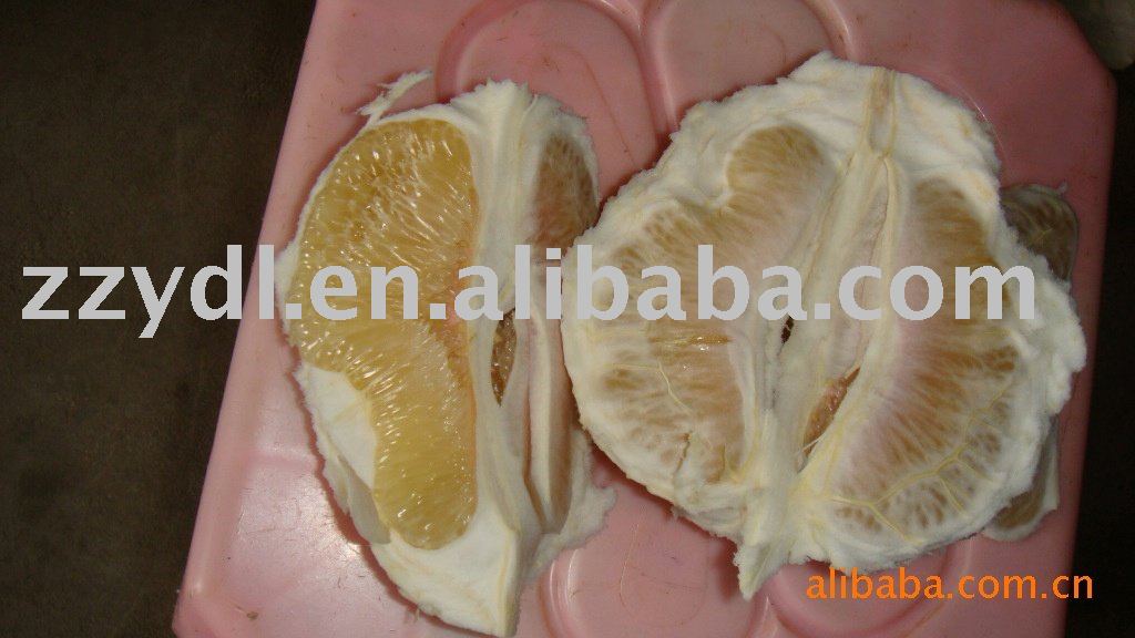 Guanxi White Fresh Honey Pomelo