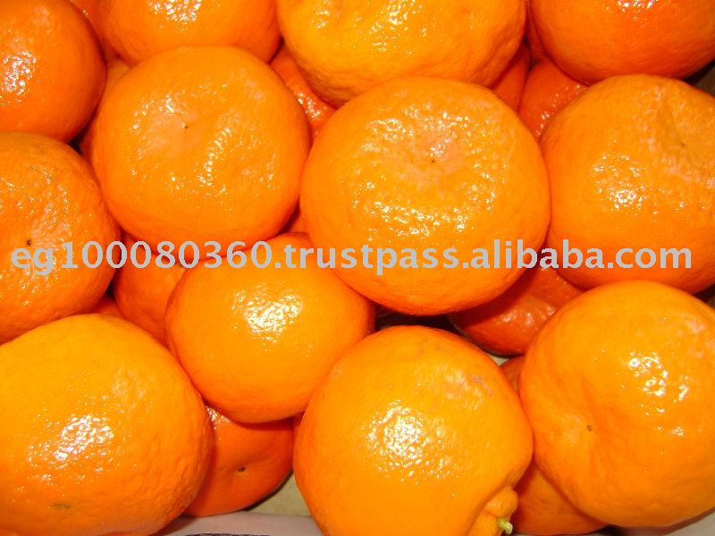 Clementina fruit