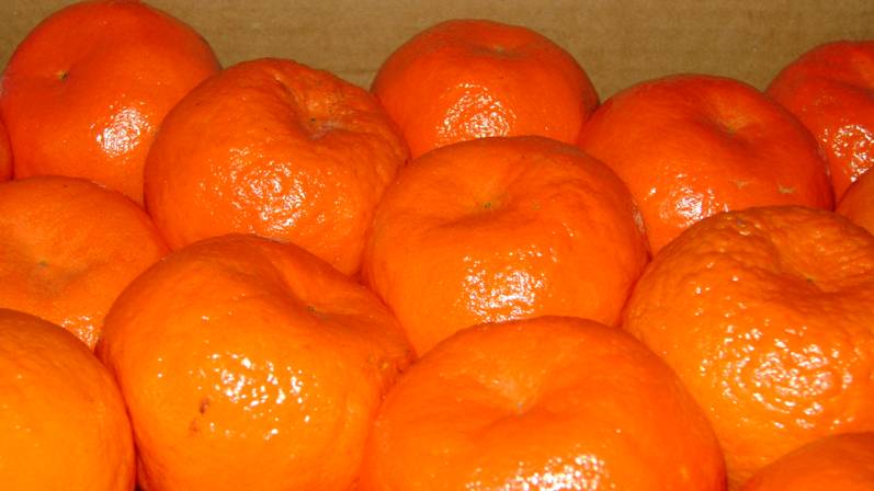 Clementine