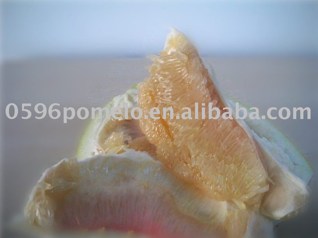  New   pomelo 