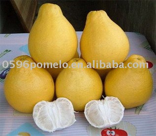 Fresh fruit-pomelo
