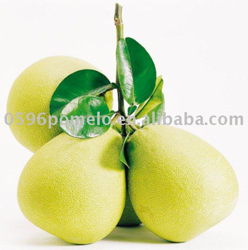 supply china honey pomelo