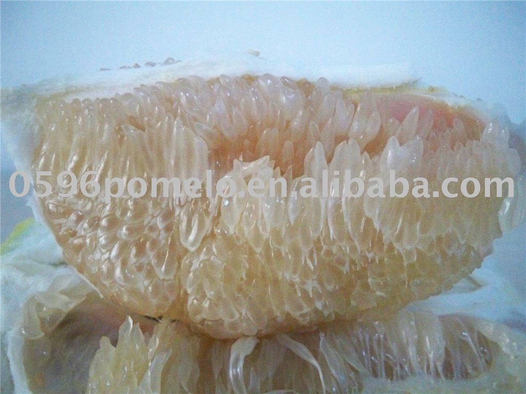 A cirtus fruit - pomelo