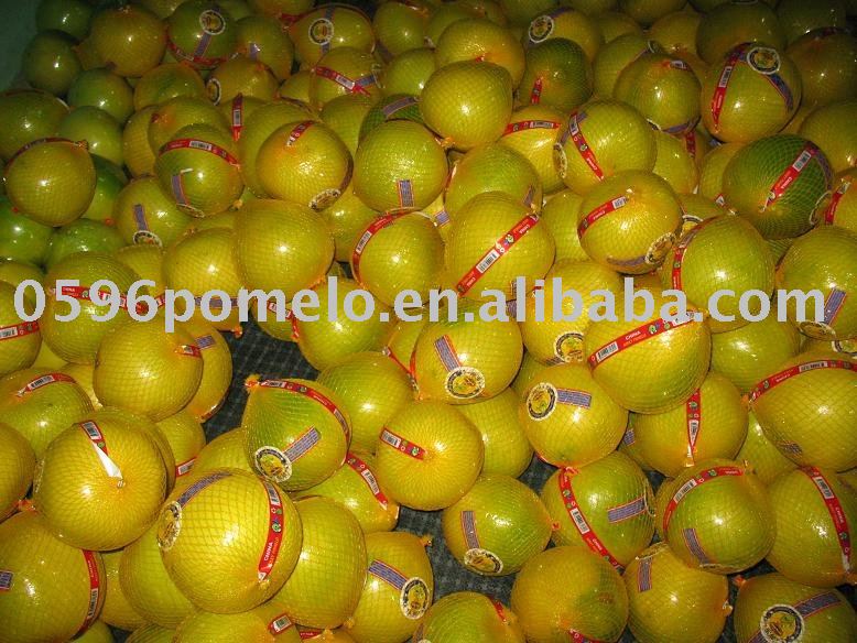  red   honey   pomelo 