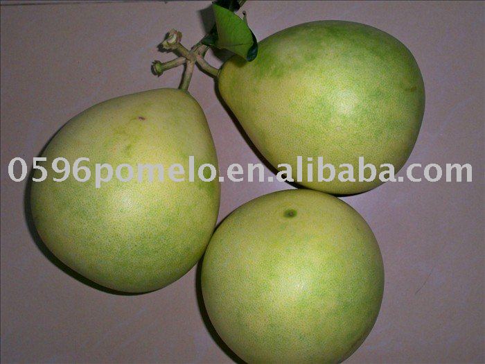 new honey pomelo