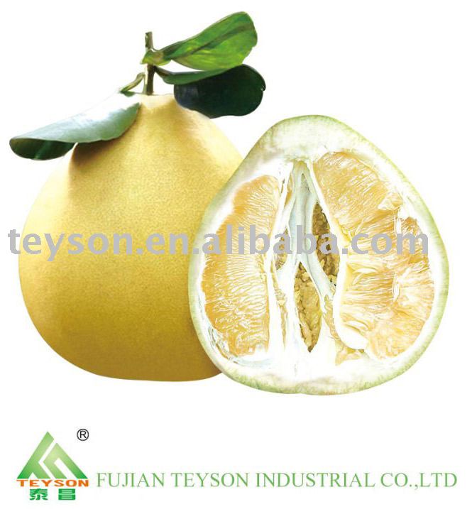 Supply Honey Pomelo From China
