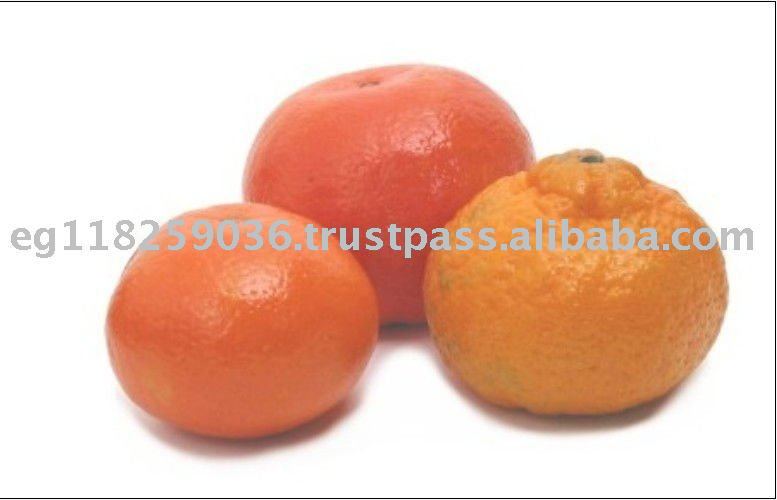 ARKANZA Fresh Mandarin Orange