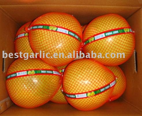 Chinese Honey Pomelo
