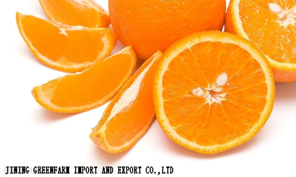 2010Fresh Navel Orange