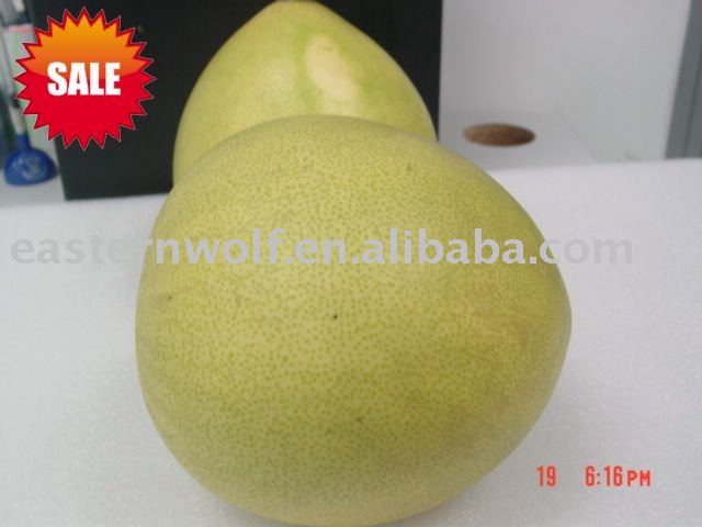 Chinese Fresh Honey Pomelo in Carton, MOQ:1*40'FCL