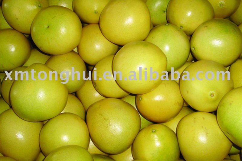 fresh  fruit pomelo 2 CAT1