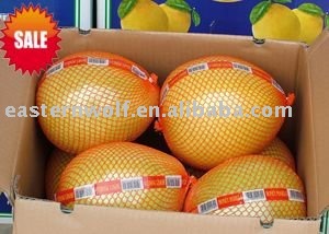 China Fresh Pomelo in Carton, MOQ:1*40'FCL