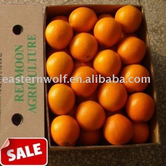 Fresh navel orange,sweet and juicy,packing:15kg/ctn