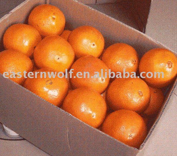 Fresh navel orange,new crop,sweet and juicy in carton package