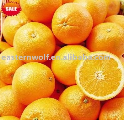 Fresh navel orange,new crop,sweet and juicy!
