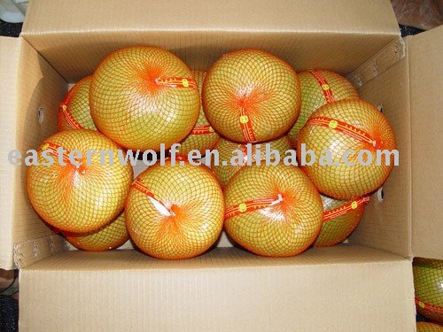 Fresh chinese honey pomelo,sweet,MOQ:1*40`FCL!