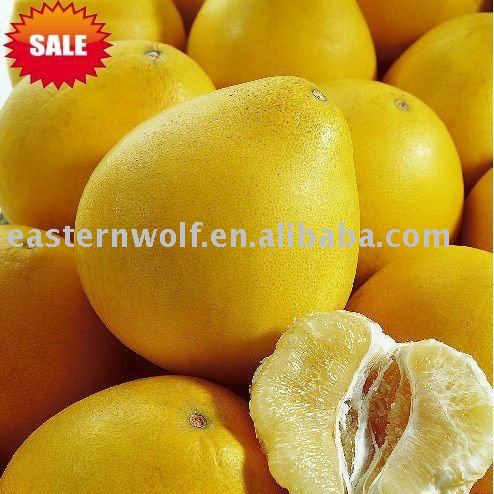 Fresh chinese honey pomelo,new crop,taste sweet,MOQ:1*40`FCL!