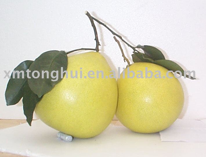 shaddock ( grapefruit ) pomelo
