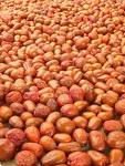 Jujube  fruits for sale