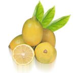 Citrus Fruit-Lemon-Interdonato