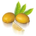Citrus Fruit-Lemon-