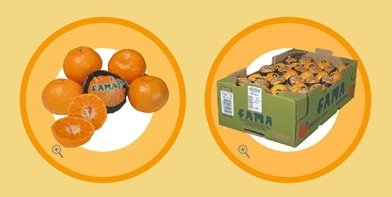 TANGERINES- MONTENEGRINA