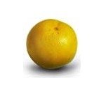 Yellow Variety Grape fruit 