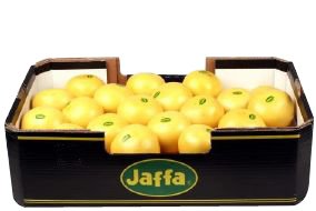 White Marsh Grapefruit