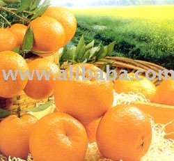 Mandarin Orange (Lugan)