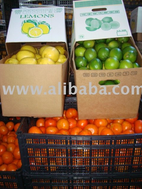 Persian Limon, Yellow Lime,  Orange s,  Tangerine s, Grapefruit