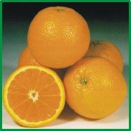 Mandarin