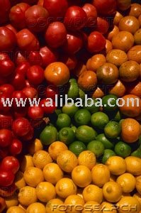 Citrus